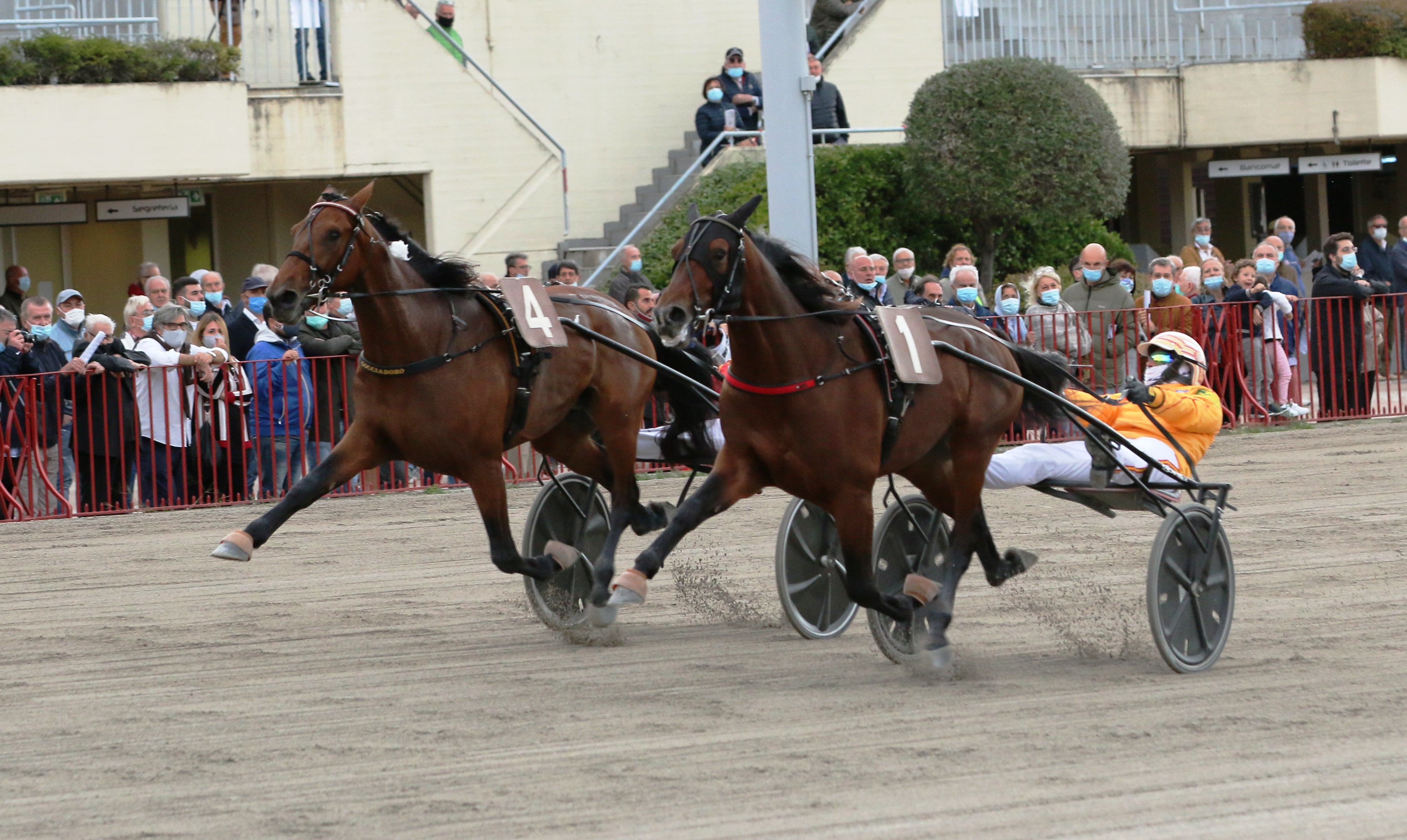 Gran Premio Continentale 2020