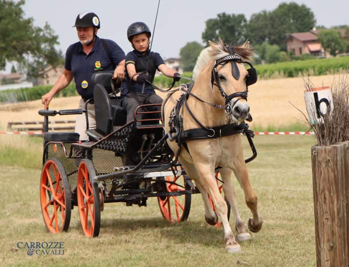 Coppa delle Regioni Attacchi  F.I.S.E. all'Arcoveggio