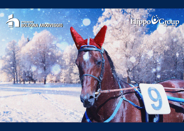 Domenica 26 dicembre: cavalli, pony, animazioni per i bimbi e musica a bordo pista